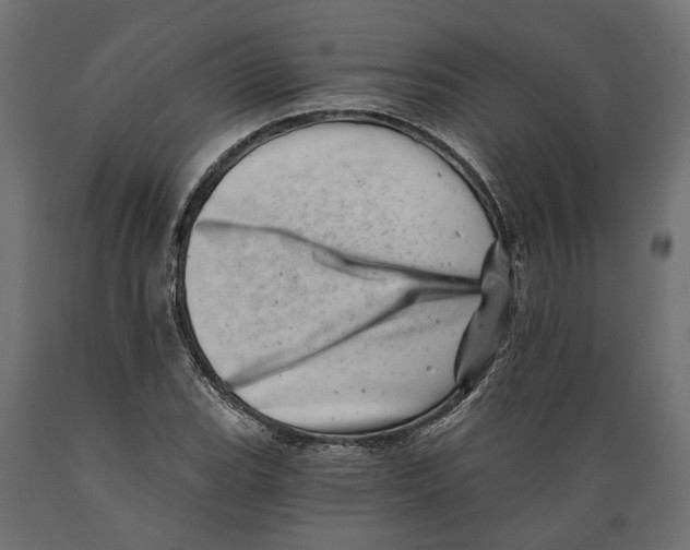 X0000088891119200707061426