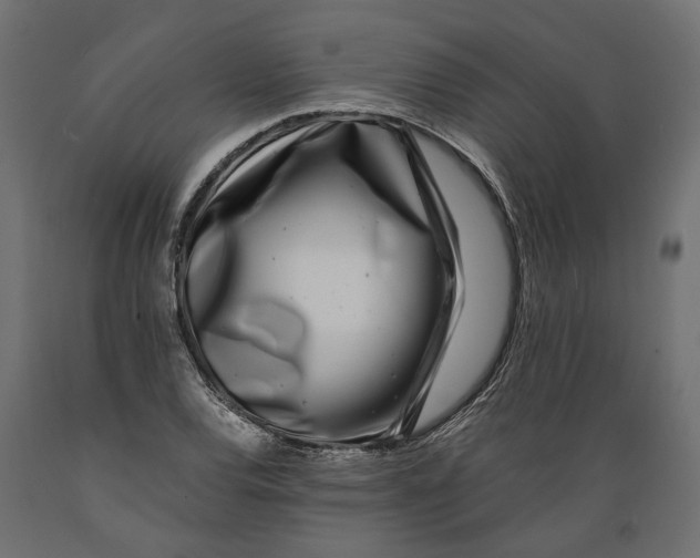 X0000088891120200707061426