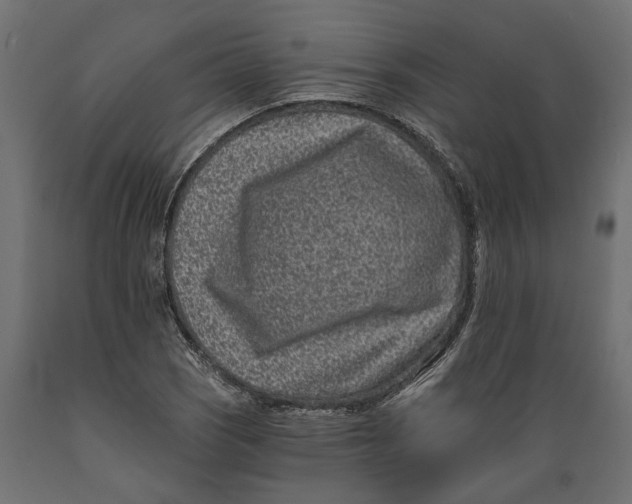 X0000088891121200707061426