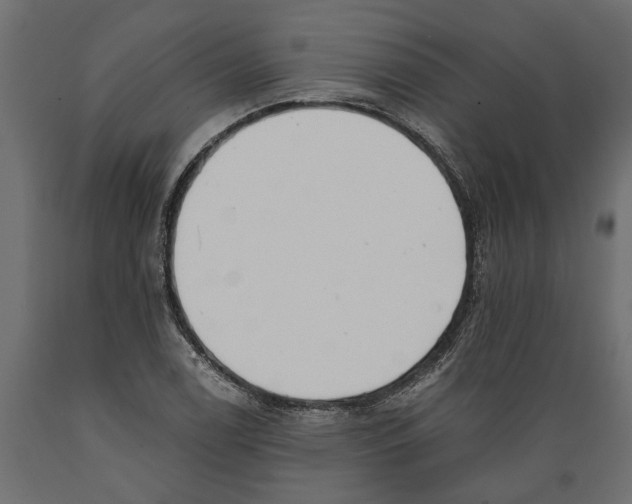 X0000088891122200707061426