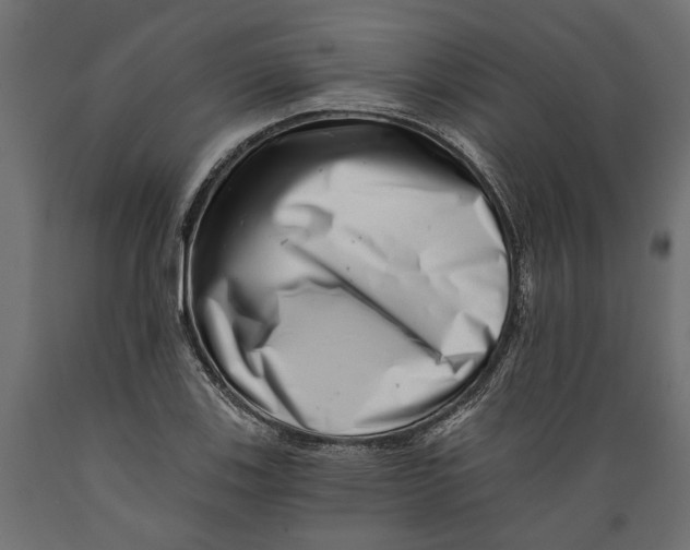X0000088891123200707061426