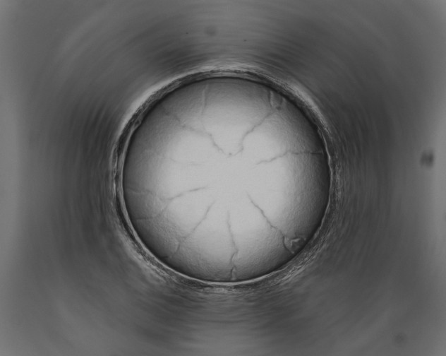 X0000088891124200707061426