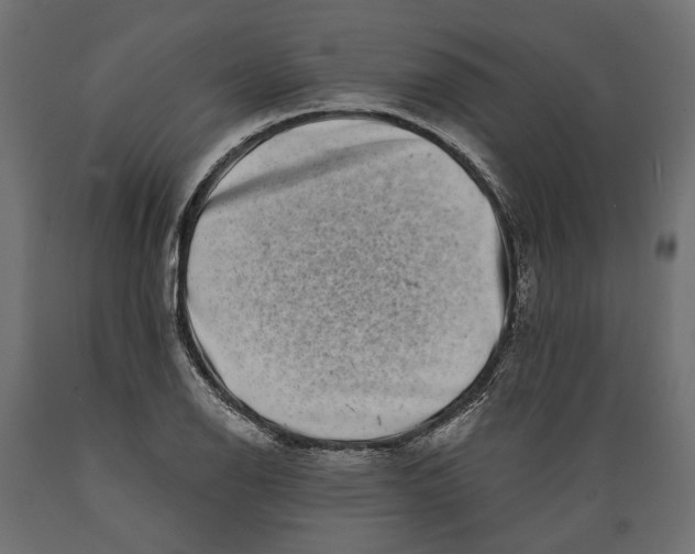 X0000088891126200707061426