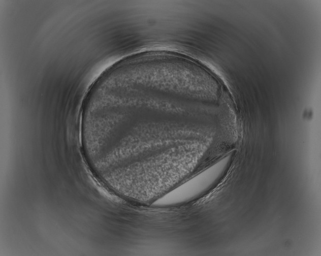X0000088891127200707061426