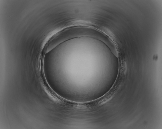 X0000088891128200707061426