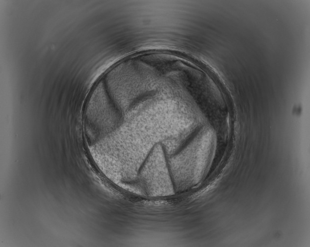 X0000088891129200707061426