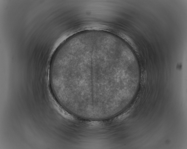 X0000088891130200707061426