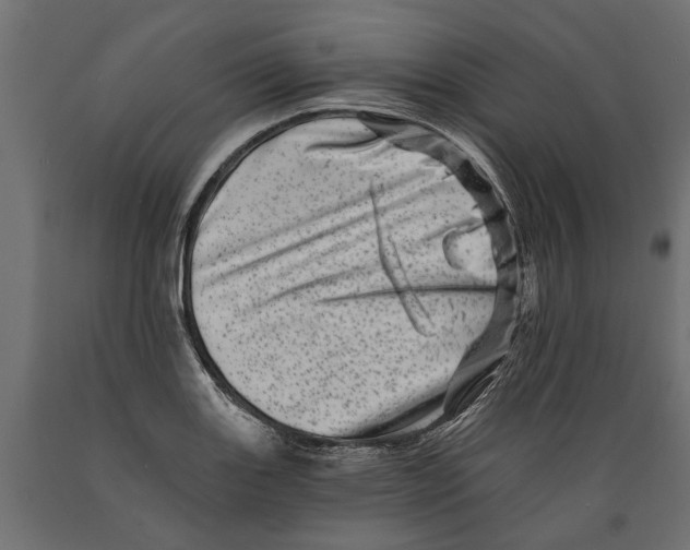 X0000088891131200707061426