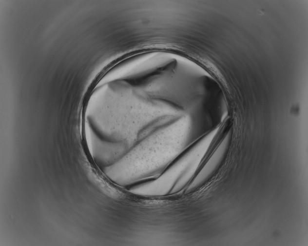 X0000088891132200707061426