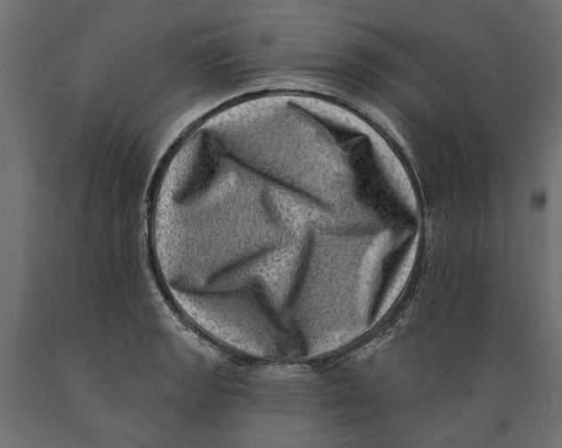 X0000088891133200707061426