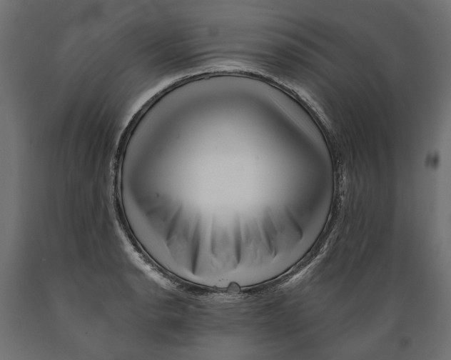 X0000088891134200707061426
