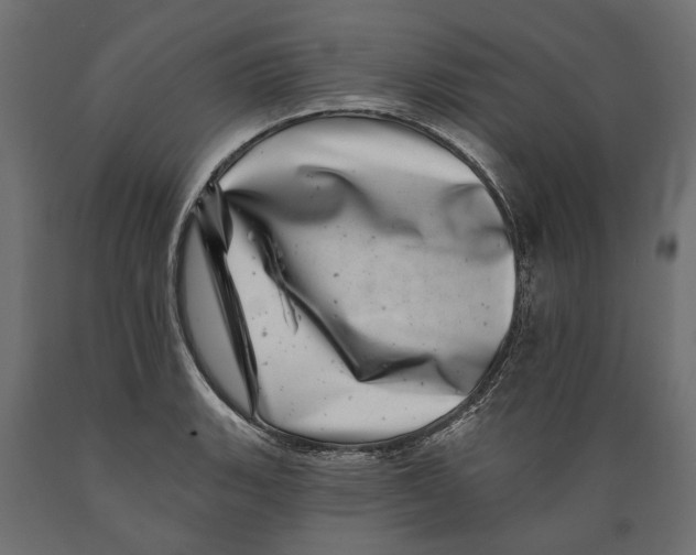 X0000088891135200707061426