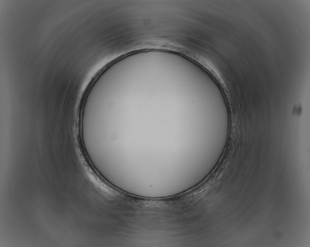 X0000088891136200707061426