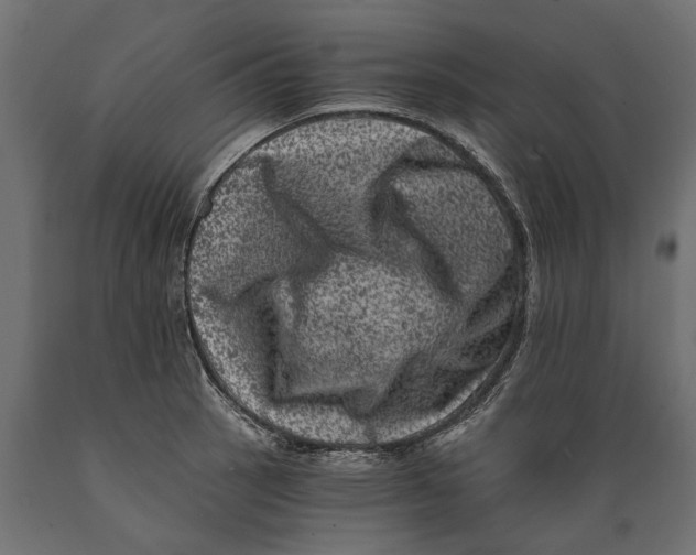 X0000088891137200707061426