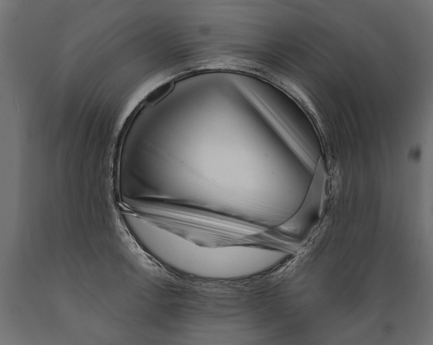 X0000088891138200707061426