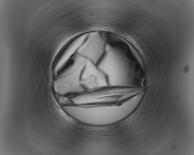 X0000088891140200707061426