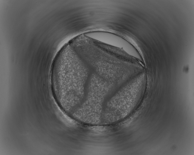 X0000088891141200707061426