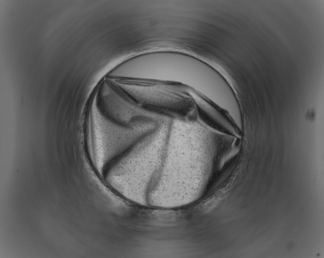 X0000088891142200707061426