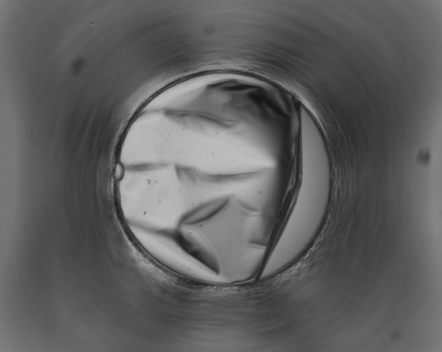 X0000088891143200707061426