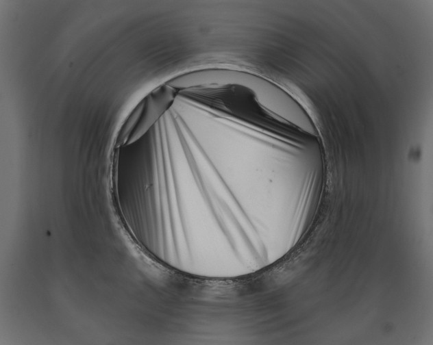 X0000088891144200707061426