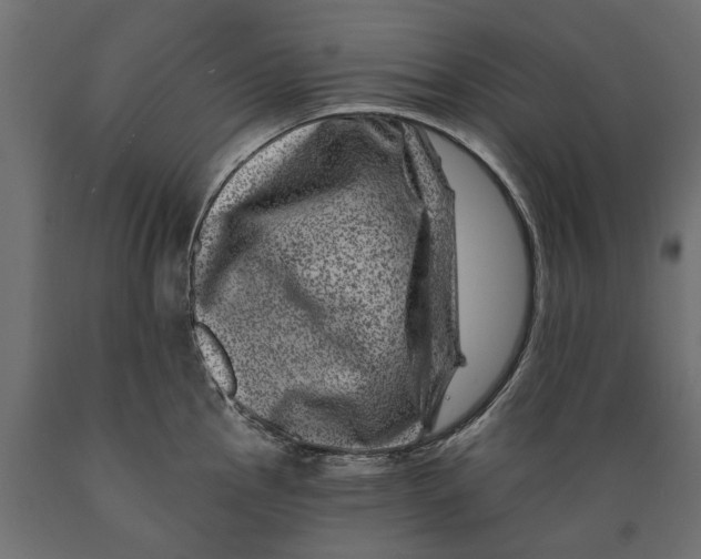 X0000088891145200707061426