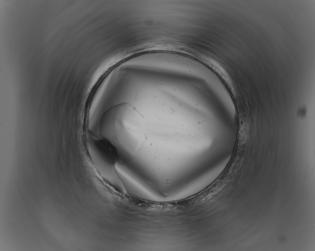 X0000088891146200707061426