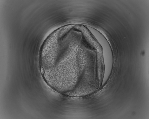 X0000088891147200707061426