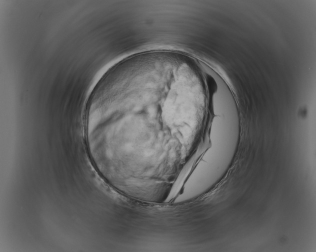 X0000088891148200707061426