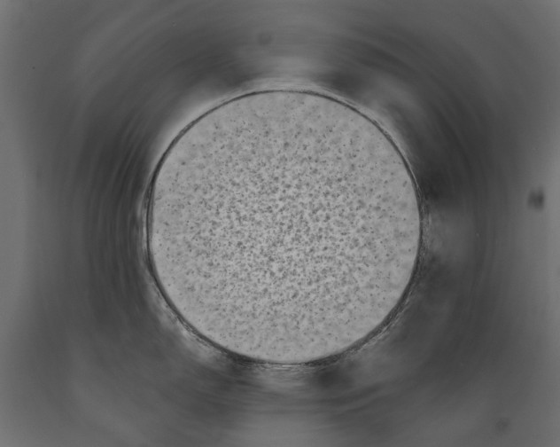 X0000088891150200707061426