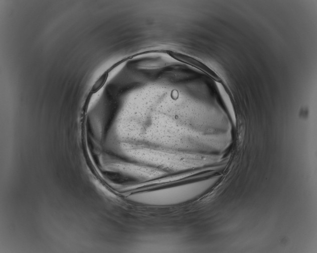 X0000088891151200707061426