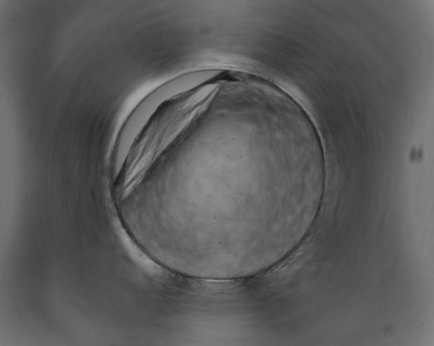 X0000088891152200707061426