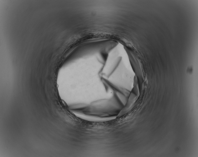 X0000088891153200707061426
