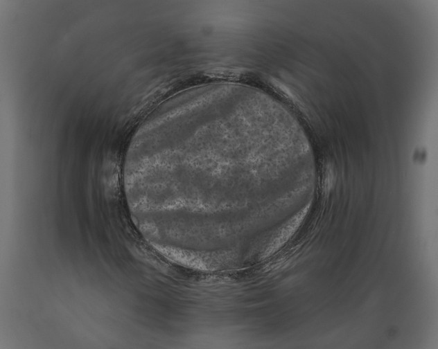 X0000088891154200707061426
