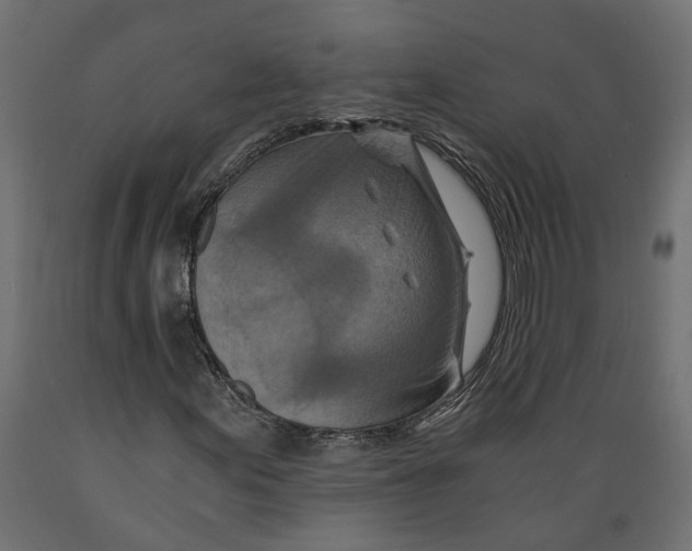 X0000088891155200707061426