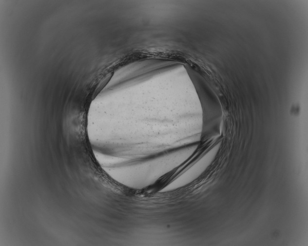 X0000088891156200707061426
