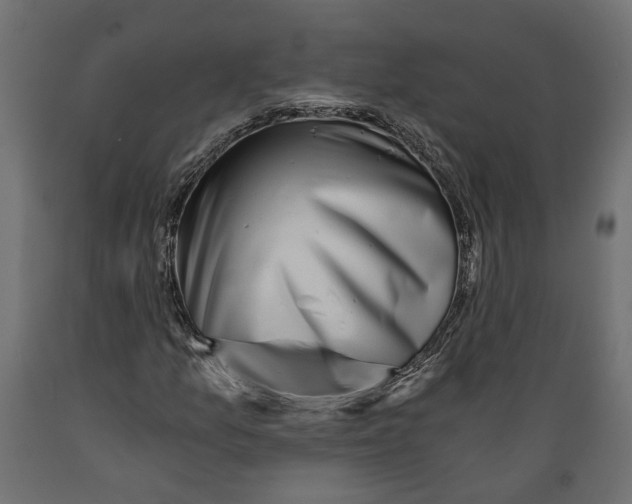 X0000088891157200707061426