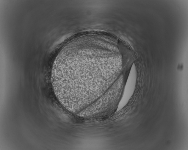 X0000088891159200707061426