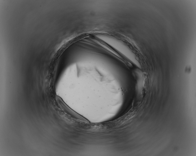 X0000088891160200707061426