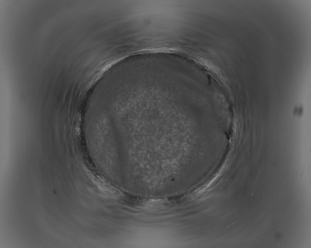 X0000088891161200707061426