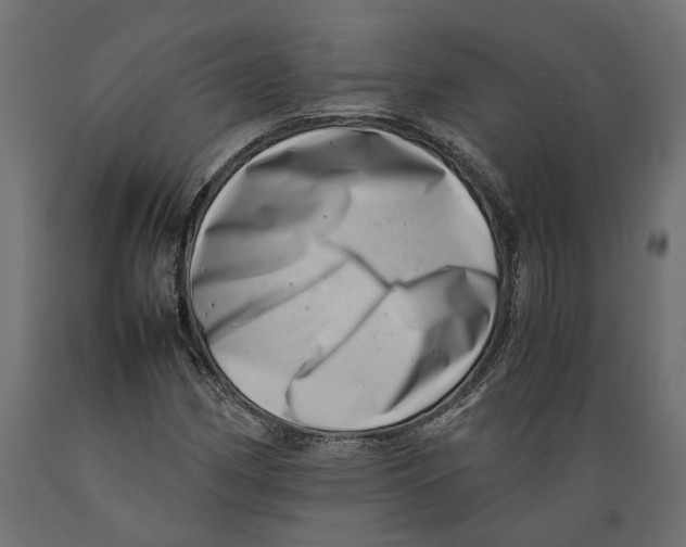 X0000088891162200707061426