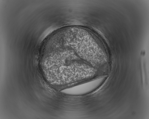 X0000088891163200707061426