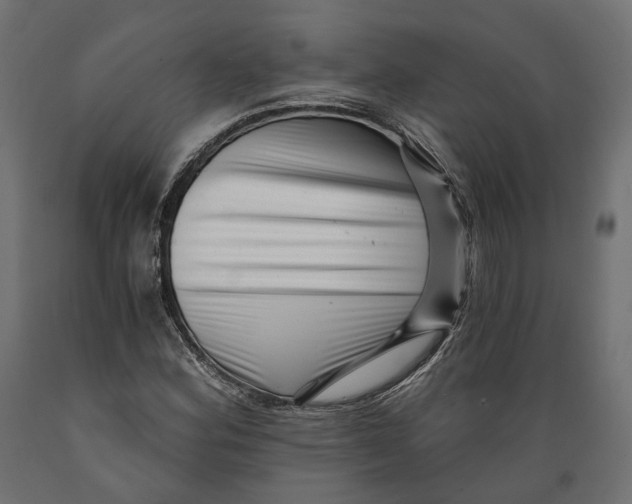 X0000088891164200707061426