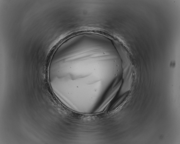 X0000088891165200707061426