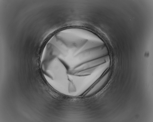 X0000088891166200707061426