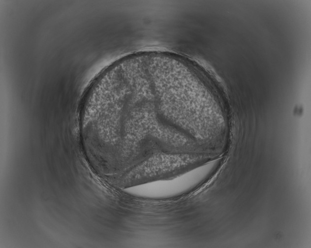 X0000088891167200707061426