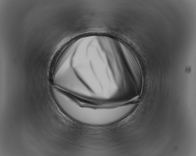 X0000088891168200707061426