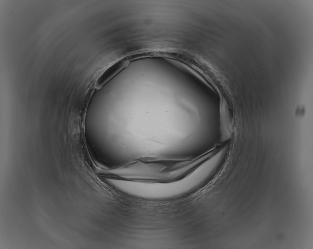 X0000088891169200707061425