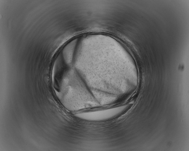 X0000088891170200707061425