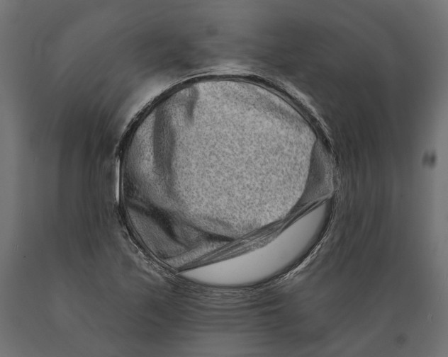 X0000088891171200707061425