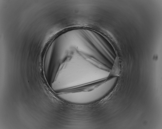 X0000088891172200707061425